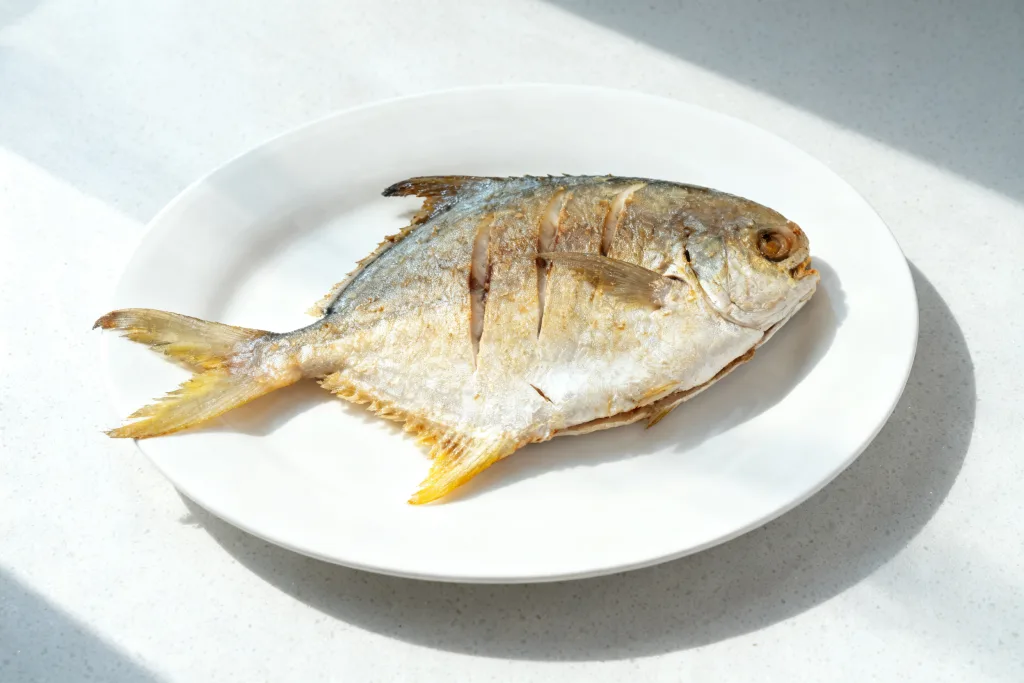 Zhoushan Pomfret
