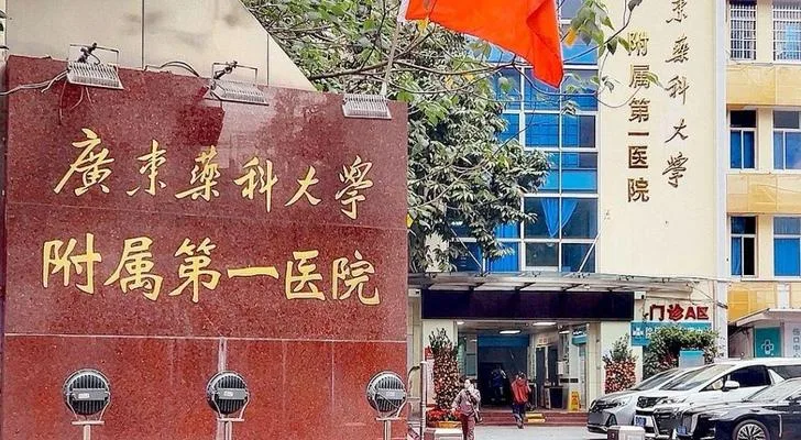 The First Affiliated Hospital of Guangdong Pharmaceutical University in Guangzhou