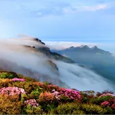 Mount Jinfo in Chongqing