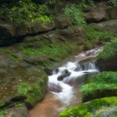 Bifengxia scenic area in Yaan