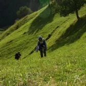 Nalati Grassland in Ili Xinjiang