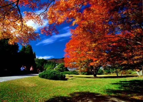 Mount Lushan in Jiujiang