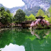 Youyang Peach Blossom Land