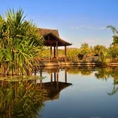 Xishuangbanna Tropical Botanical Garden in Xishuangbanna