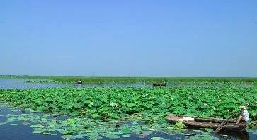 Baiyangdian Lake in Baoding